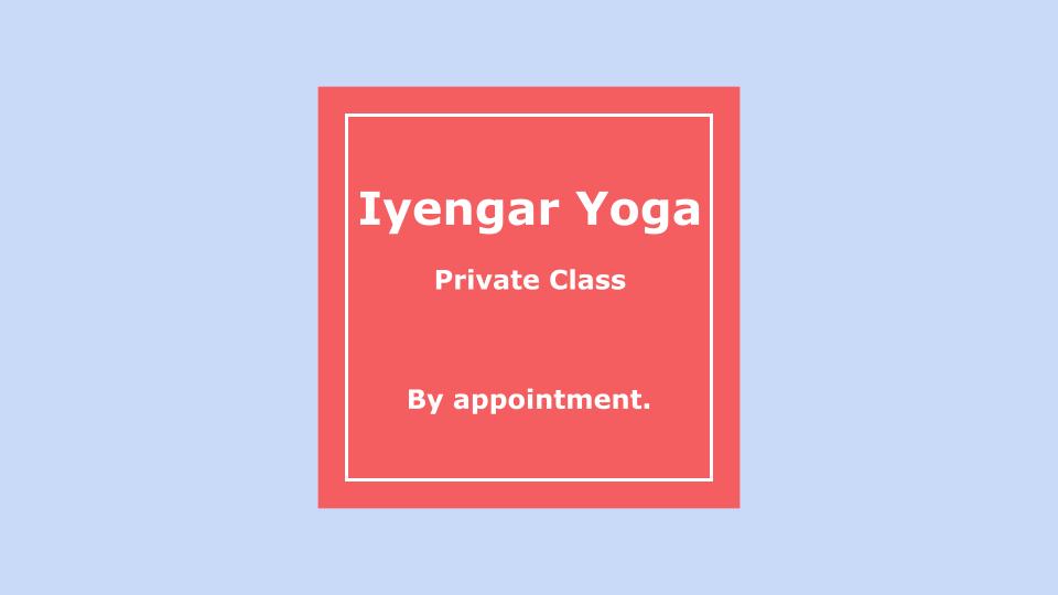 Private One-on-One or Small Group Classes