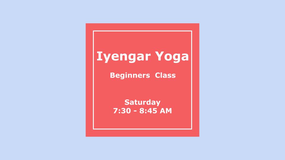 8) January Beginners Saturday