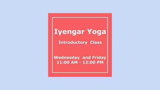 5) January Introductory Class Wednesday and Friday