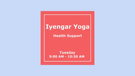 E) Health Support