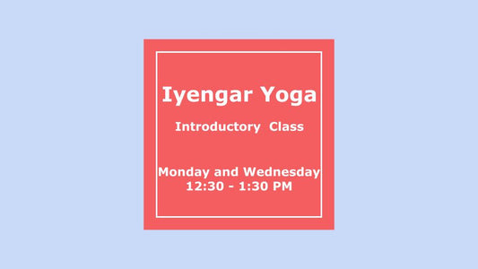 2) January Introductory Class Monday and Wednesday