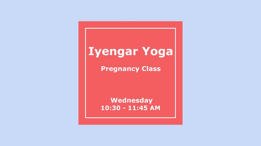 I) Pregnancy Class