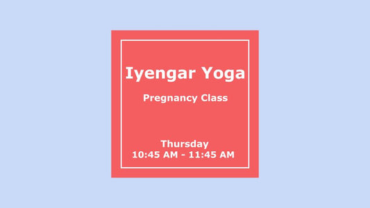 H) Pregnancy Class